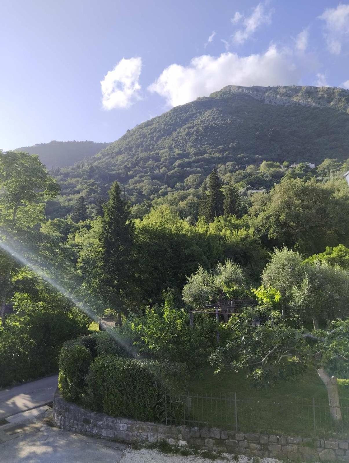 Appartamento Radmanovic